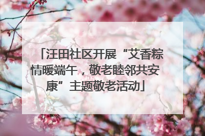 汪田社区开展“艾香粽情暖端午，敬老睦邻共安康”主题敬老活动