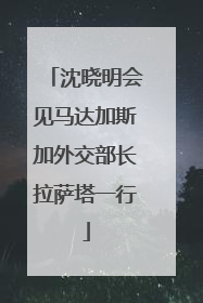 沈晓明会见马达加斯加外交部长拉萨塔一行