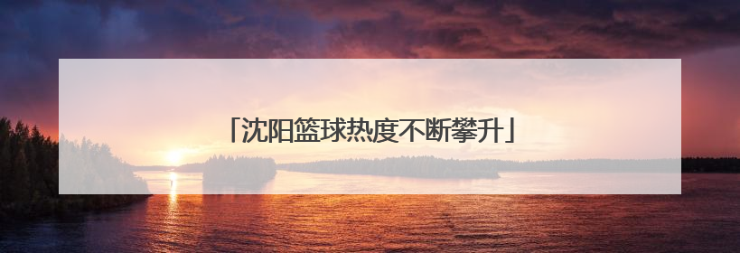 沈阳篮球热度不断攀升