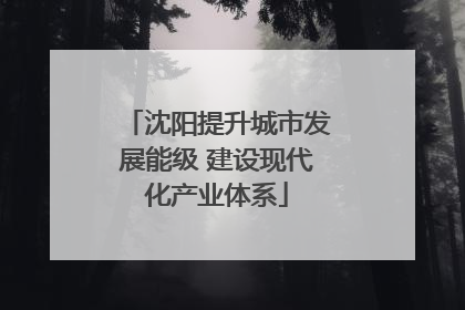沈阳提升城市发展能级 建设现代化产业体系