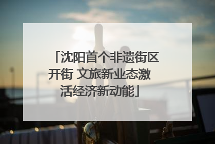 沈阳首个非遗街区开街 文旅新业态激活经济新动能