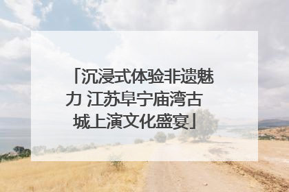 沉浸式体验非遗魅力 江苏阜宁庙湾古城上演文化盛宴
