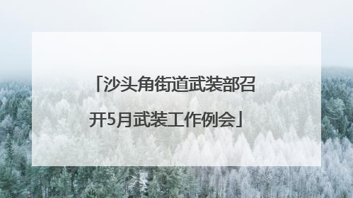 沙头角街道武装部召开5月武装工作例会