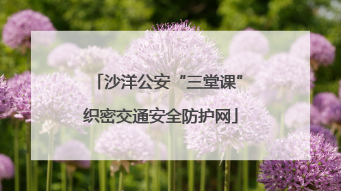 沙洋公安“三堂课”织密交通安全防护网
