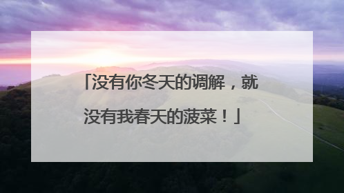 没有你冬天的调解，就没有我春天的菠菜！