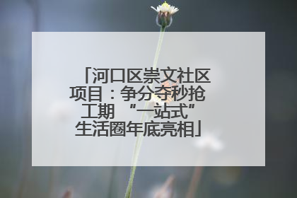 河口区崇文社区项目：争分夺秒抢工期 “一站式”生活圈年底亮相