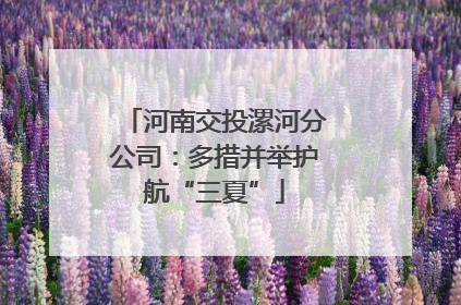 河南交投漯河分公司：多措并举护航“三夏”
