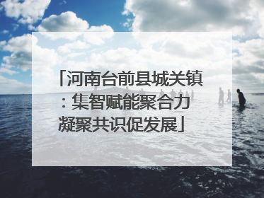 河南台前县城关镇：集智赋能聚合力 凝聚共识促发展
