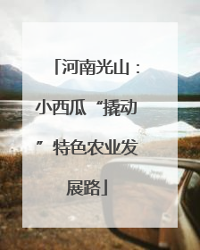 河南光山：小西瓜“撬动”特色农业发展路