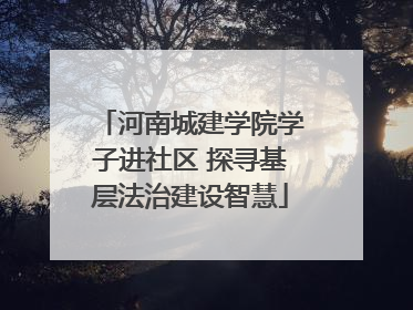 河南城建学院学子进社区 探寻基层法治建设智慧