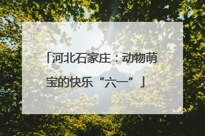 河北石家庄：动物萌宝的快乐“六一”