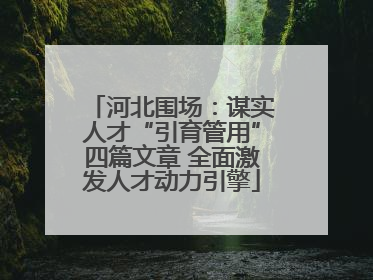 河北围场：谋实人才“引育管用”四篇文章 全面激发人才动力引擎