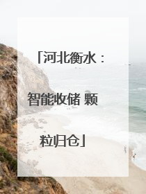 河北衡水：智能收储 颗粒归仓