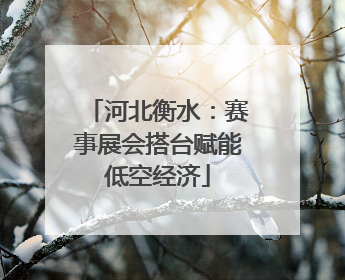 河北衡水：赛事展会搭台赋能低空经济