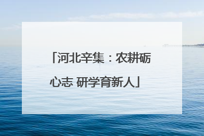 河北辛集：农耕砺心志 研学育新人