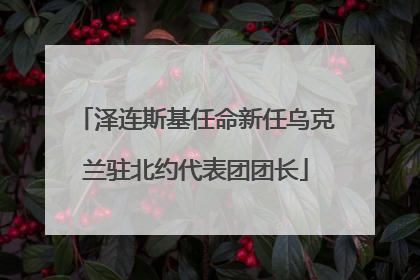 泽连斯基任命新任乌克兰驻北约代表团团长