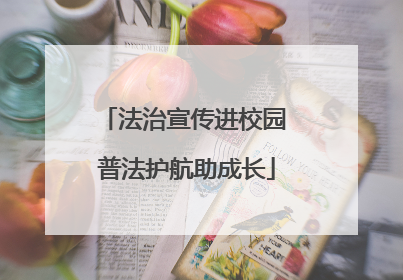 法治宣传进校园 普法护航助成长