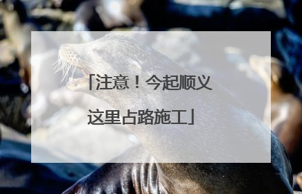 注意！今起顺义这里占路施工