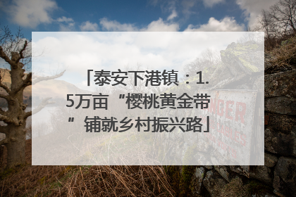 泰安下港镇：1.5万亩“樱桃黄金带”铺就乡村振兴路