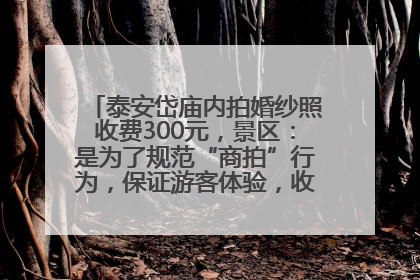 泰安岱庙内拍婚纱照收费300元，景区：是为了规范“商拍”行为，保证游客体验，收取费用全部上交国库