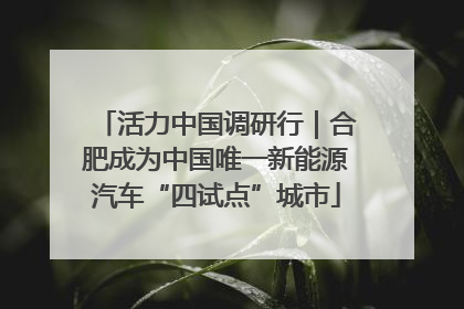 活力中国调研行｜合肥成为中国唯一新能源汽车“四试点”城市