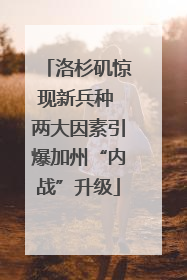 洛杉矶惊现新兵种 两大因素引爆加州“内战”升级
