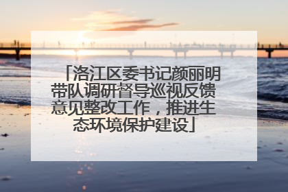 洛江区委书记颜丽明带队调研督导巡视反馈意见整改工作，推进生态环境保护建设