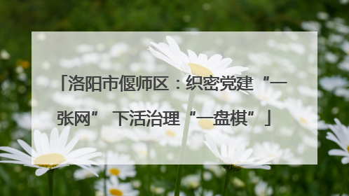 洛阳市偃师区：织密党建“一张网” 下活治理“一盘棋”