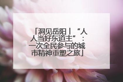 洞见岳阳丨“人人当好东道主”：一次全民参与的城市精神重塑之旅
