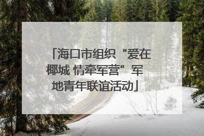 海口市组织“爱在椰城 情牵军营”军地青年联谊活动