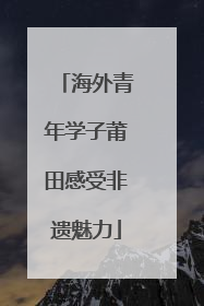 海外青年学子莆田感受非遗魅力