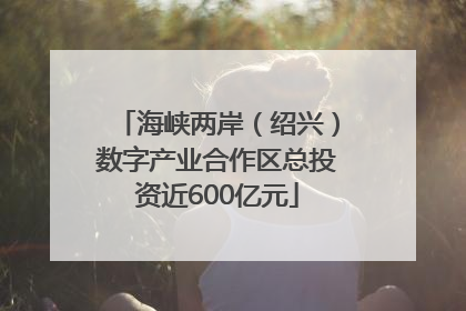 海峡两岸（绍兴）数字产业合作区总投资近600亿元