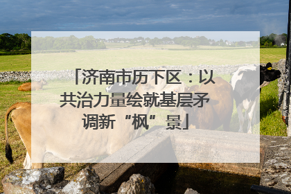 济南市历下区：以共治力量绘就基层矛调新“枫”景