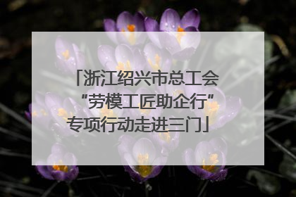 浙江绍兴市总工会“劳模工匠助企行”专项行动走进三门
