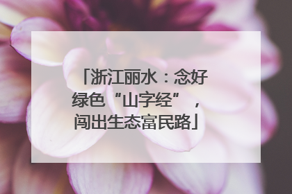浙江丽水：念好绿色“山字经”，闯出生态富民路