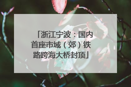 浙江宁波：国内首座市域（郊）铁路跨海大桥封顶