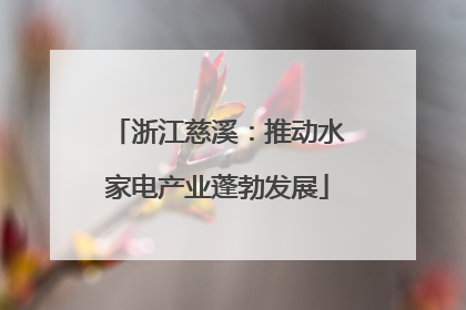 浙江慈溪：推动水家电产业蓬勃发展