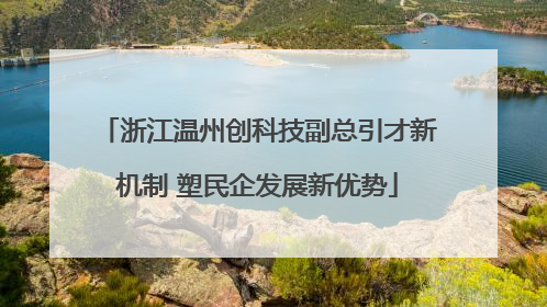 浙江温州创科技副总引才新机制 塑民企发展新优势