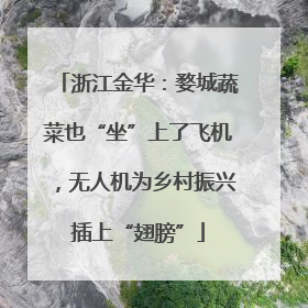 浙江金华：婺城蔬菜也“坐”上了飞机，无人机为乡村振兴插上“翅膀”