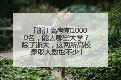 浙江高考前10000名，能去哪些大学？除了浙大，这两所高校录取人数也不少