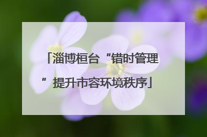 淄博桓台“错时管理”提升市容环境秩序