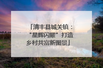 清丰县城关镇：“星辉闪耀”打造乡村共富新图景