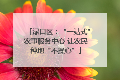 渌口区：“一站式”农事服务中心 让农民种地“不操心”