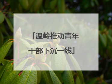 温岭推动青年干部下沉一线
