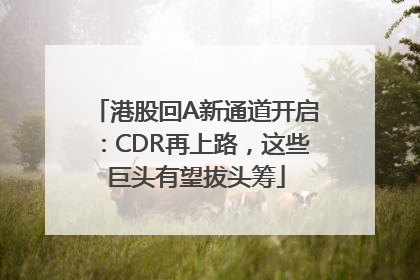 港股回A新通道开启：CDR再上路，这些巨头有望拔头筹