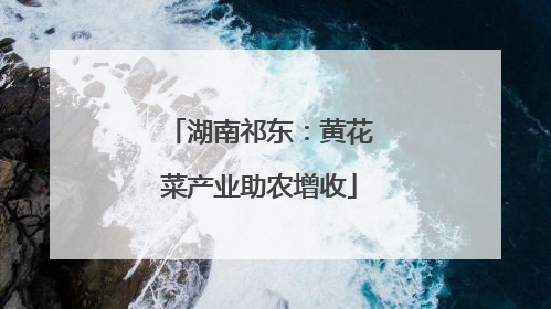 湖南祁东：黄花菜产业助农增收