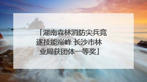 湖南森林消防尖兵竞逐技能巅峰 长沙市林业局获团体一等奖