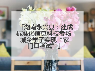 湖南永兴县：建成标准化信息科技考场 城乡学子实现“家门口考试”