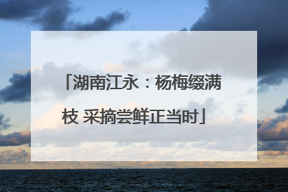 湖南江永：杨梅缀满枝 采摘尝鲜正当时