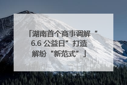 湖南首个商事调解“6.6 公益日”打造解纷“新范式”